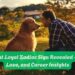 The Most Loyal Zodiac Sign Revealed – Traits, Love, and Career Insights
